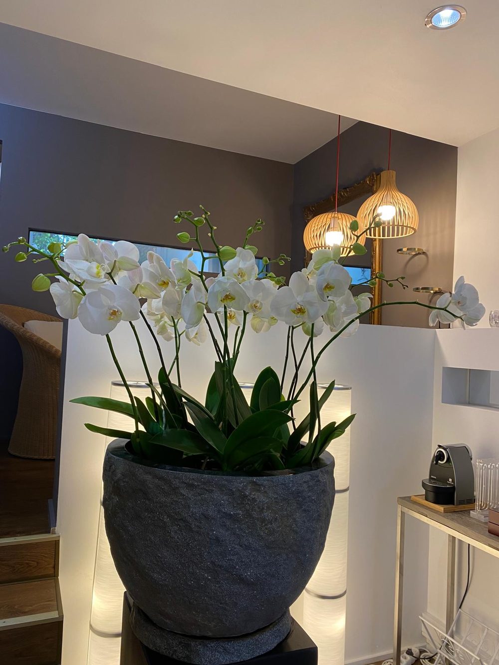 White orchids with pendant lamps
